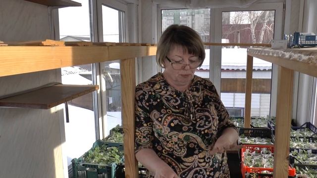 МУЖ сделал ЗИМНИЙ САД своими руками. ВСЕ ПОКАЖУ! смотреть онлайн