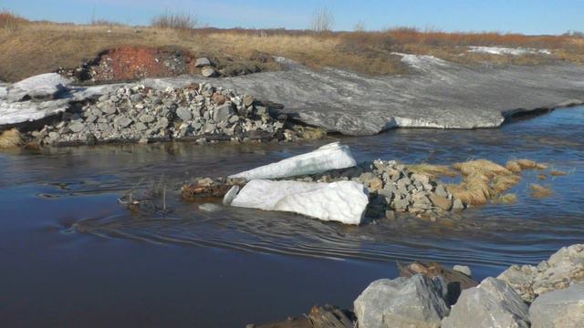 ВОРКУТА | ТУНДРА | TUNDRA | 2022