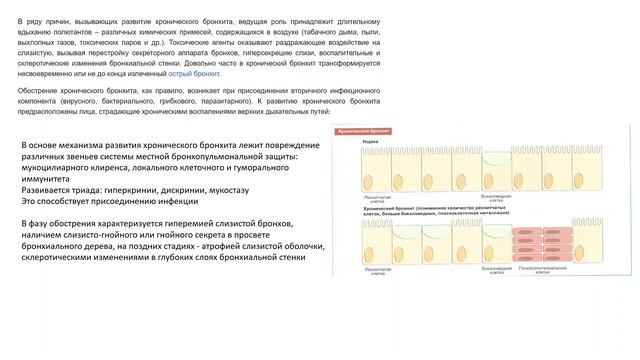 Патологическая анатомия | ДЫХАТЕЛЬНАЯ СИСТЕМА смотреть онлайн