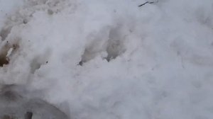 Откачиваем воду из колодца,копаем глубже колодец ремонтными кольцами