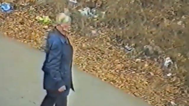 Пенсионеры пытаются украсть кошку смотреть онлайн