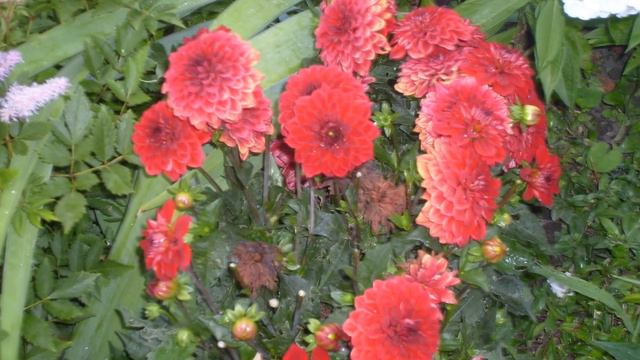 ОПТИНА ПУСТЫНЬ 2013/2017 смотреть онлайн