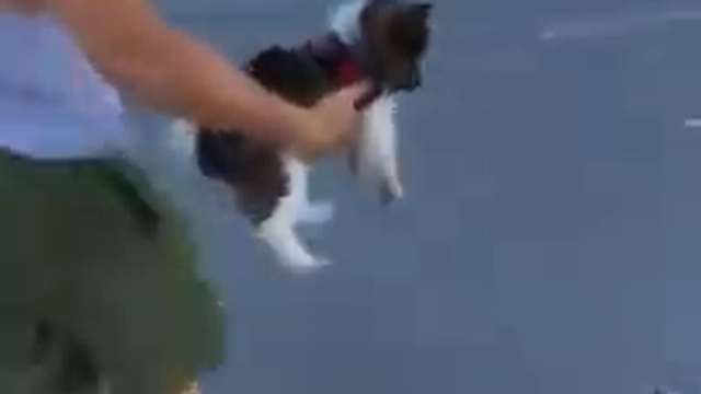 Догоняй! смотреть онлайн