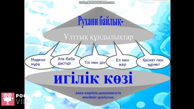 Кадырова А.Е. Әлеуметтік мәселе туралы не білесің? Отбасы - құндылық. Лексика-грамматикалық омонимд смотреть онлайн
