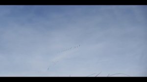 Весенняя охота на гуся 2021 Часть 1 - IN BLOOD