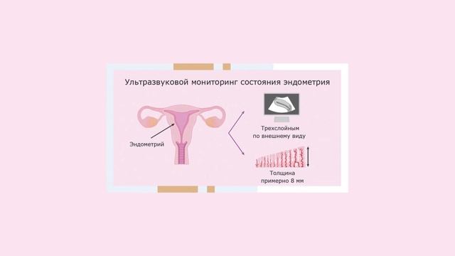 Тонкий эндометрий смотреть онлайн