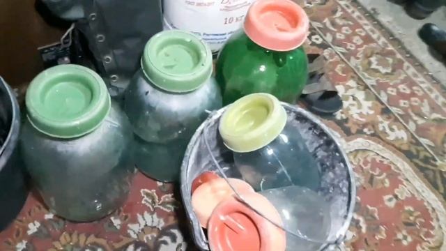 Очень действенное средство профилактики и лечения гемофилеза у голубей (заразный насморк). смотреть онлайн