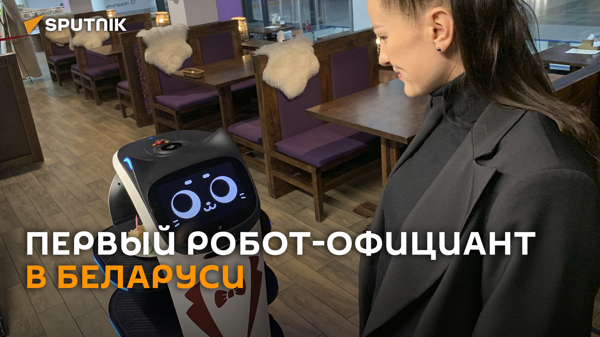 "Кошка" за 10 000 $: первый робот-официант появился в Гродно смотреть онлайн