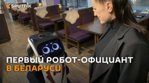 "Кошка" за 10 000 $: первый робот-официант появился в Гродно