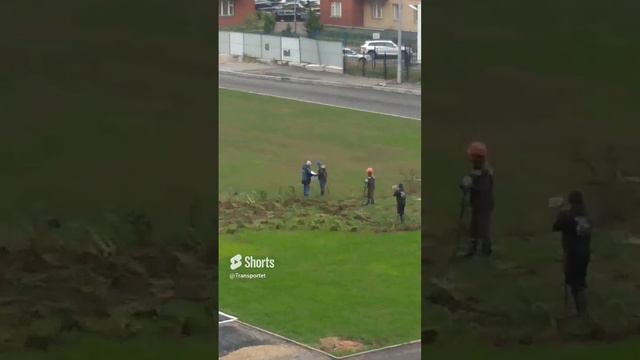 Строители сажают деревья и кусты #Shorts смотреть онлайн