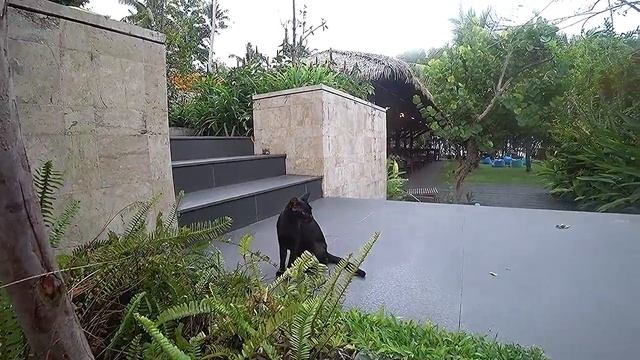 ПХУКЕТ ● ЧТО ИНТЕРЕСНОГО РЯДОМ ☀ ПЛЯЖ РЕЙЛИ В КРАБИ. ОДИН ДЕНЬ НА ОСТРОВЕ ➜ PHUKET, KRABI, RAILAY смотреть онлайн