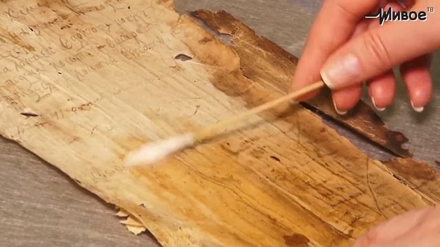 Экскурсии. ТГУ Для всех. Отдел редких книг научной библиотеки смотреть онлайн