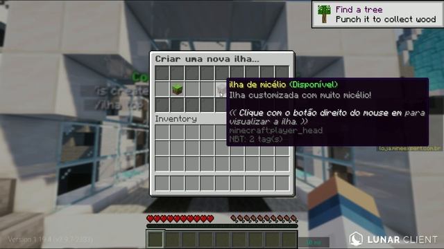 ?️SKYBLOCK! NOVO SERVIDOR INOVADOR 1.19 BEDROCK E JAVA смотреть онлайн