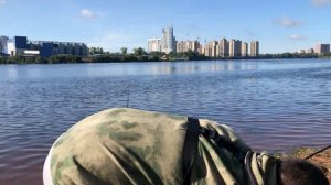 Рыбалка на донки / тест фидерной удочки за 1000 из Галамарта / рыбное место