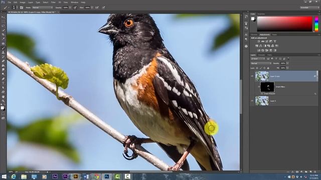 Photography Tutorials: Selective Sharpening in Photoshop CC смотреть онлайн