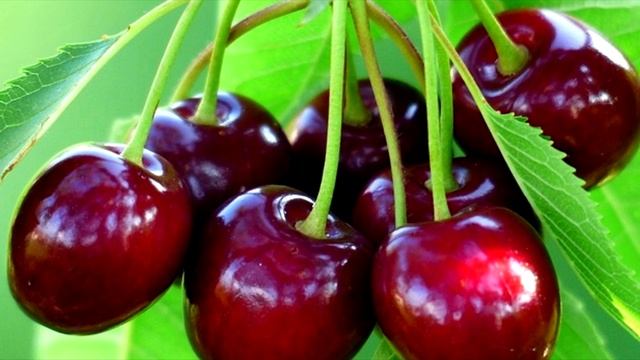 10 продуктов, полезных для зрения и здоровья глаз смотреть онлайн