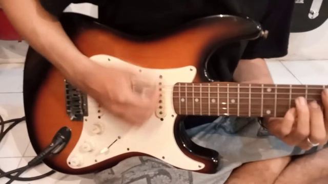 Washburn Stratocaster Shadow Series Original смотреть онлайн