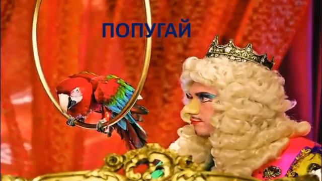 Виртуальная викторина «На каких страницах живут эти птицы?» смотреть онлайн