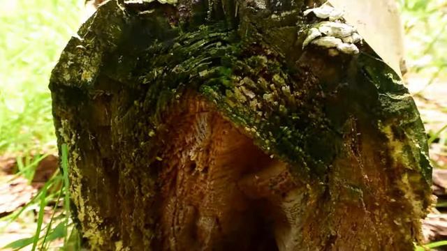 Екатеринбург 2018 смотреть онлайн