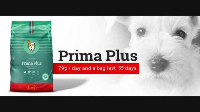 Husse- Healthy Food Happy Pet - Super Premium food for your dog and cat смотреть онлайн