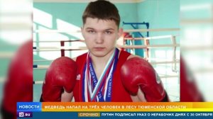 Боксер убил медведя под Тюменью и оказался в коме