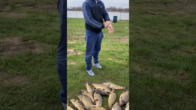 Платная рыбалка, пруд Черноморец 19.04.22. Улов рыбака смотреть онлайн