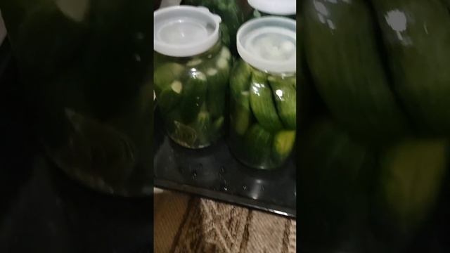 Огурцы солёные на зиму.Брожением.Без уксуса.#огурцы #огурцырецепт