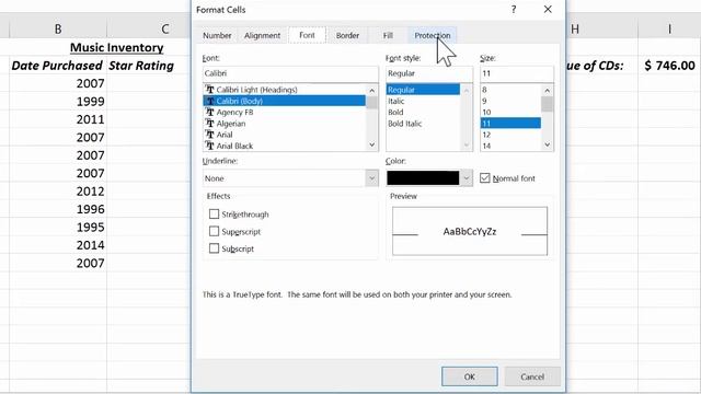 Advanced Excel - Protecting a Sheet - Excel Tutorial смотреть онлайн