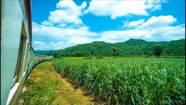 0090 桂河大橋進行曲 смотреть онлайн