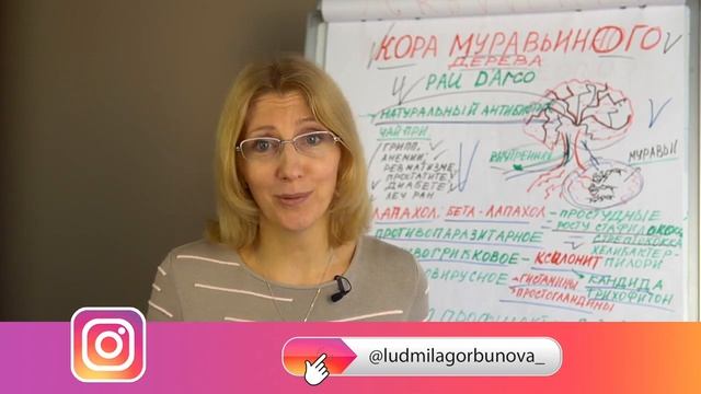 Природные антибиотики Кора муравьиного дерева. смотреть онлайн