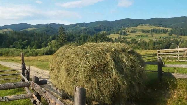 Перевозка сіна УАЗ 452 ''Головастик'' смотреть онлайн