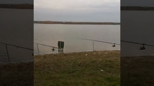 Параллельная рыбалка. Озеро Песчаное/река Аксайка Ростовская область смотреть онлайн