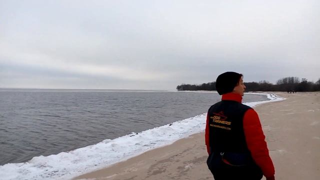 Западный Котлин, 01.02.2020 смотреть онлайн