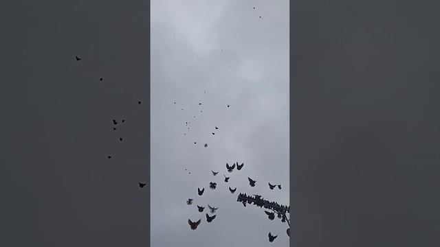 Юрий Александрович 18 ноября 2023 год ветер восточный смотреть онлайн