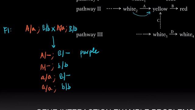 Gene Interaction Example Problems смотреть онлайн