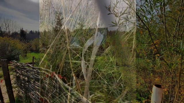 Посёлок "Мелихово Парк" от Грин Таун Групп (владелец: Владислав Кольцов) смотреть онлайн