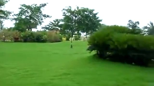 MUST WATCH BMC Garden At Malad's Mindspace - Mumbai (Maharashtra) смотреть онлайн