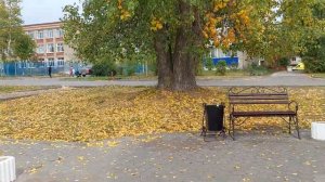 Краснокамск — город в Пермском крае: набережная реки Кама #россия #пермскийкрай #краснокамск