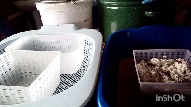 Сыр с грецкими орехами. Маслице. смотреть онлайн