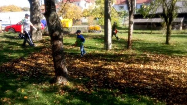 Husqvarna 125 BVx Leaf Blower versus Kids Blower Husqvarna 125 BVx ,Blower McCulloch GBV 345