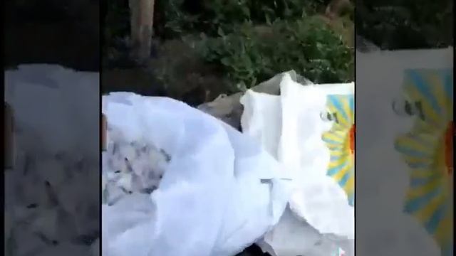 Бизнес на ПУХе. Гусиный пух в домашних условиях! смотреть онлайн