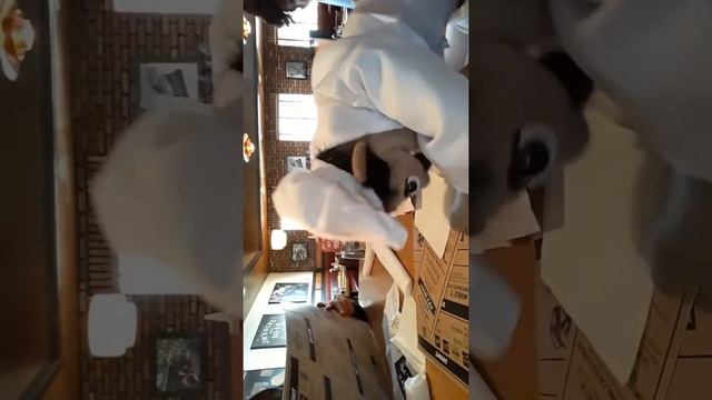 Chef yum yum and Elmo restaurant part 1 смотреть онлайн