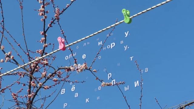 Сохнет бельё на верёвке