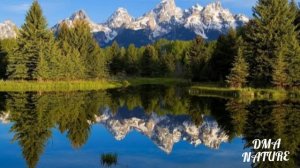 Yellowstone National park. Йеллоустонский Национальный парк. США