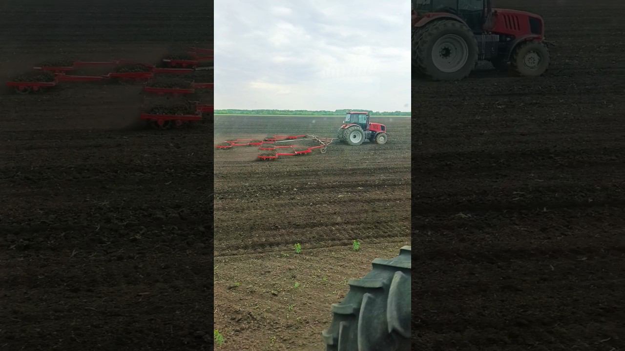 Т-технология смотреть онлайн