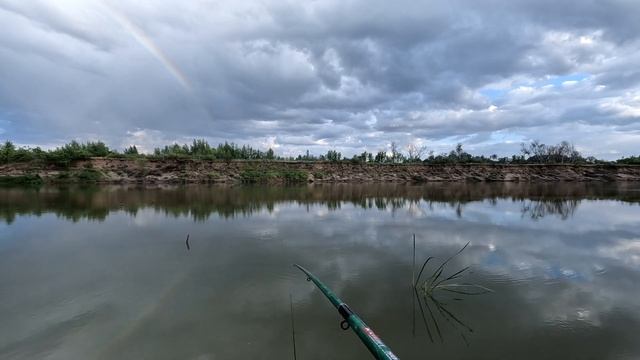 Рыбалка на поплавок 14 июля 2023.Рыбалка на закидушки.Насадил малька на крючок и сразу поймал. смотреть онлайн