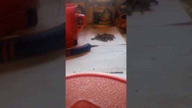 Тех. Серебро. Самый лучший и быстрый способ выпрессовать " маковые зерна " смотреть онлайн