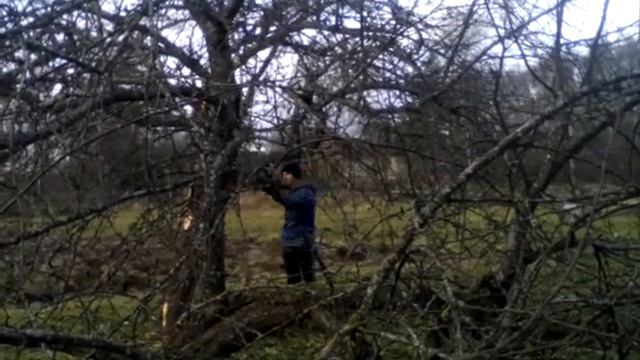 Лес рубят-щепки летят. смотреть онлайн