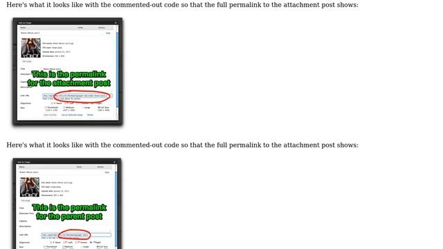 Wordpress: Link images to post permalink - custom post types (2 Solutions!!) смотреть онлайн