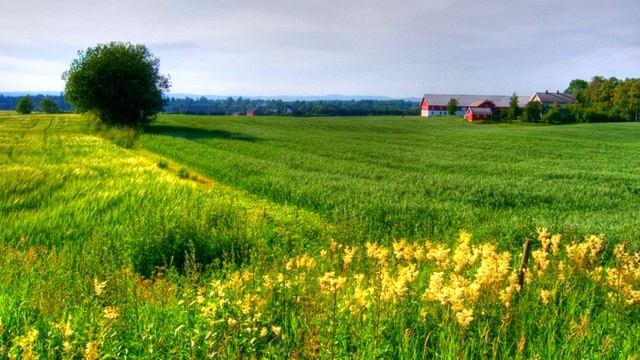 Явление Иисуса Христа народу через рожденных Свыше. Кому вы сегодня подражаете? Кто для вас образец?